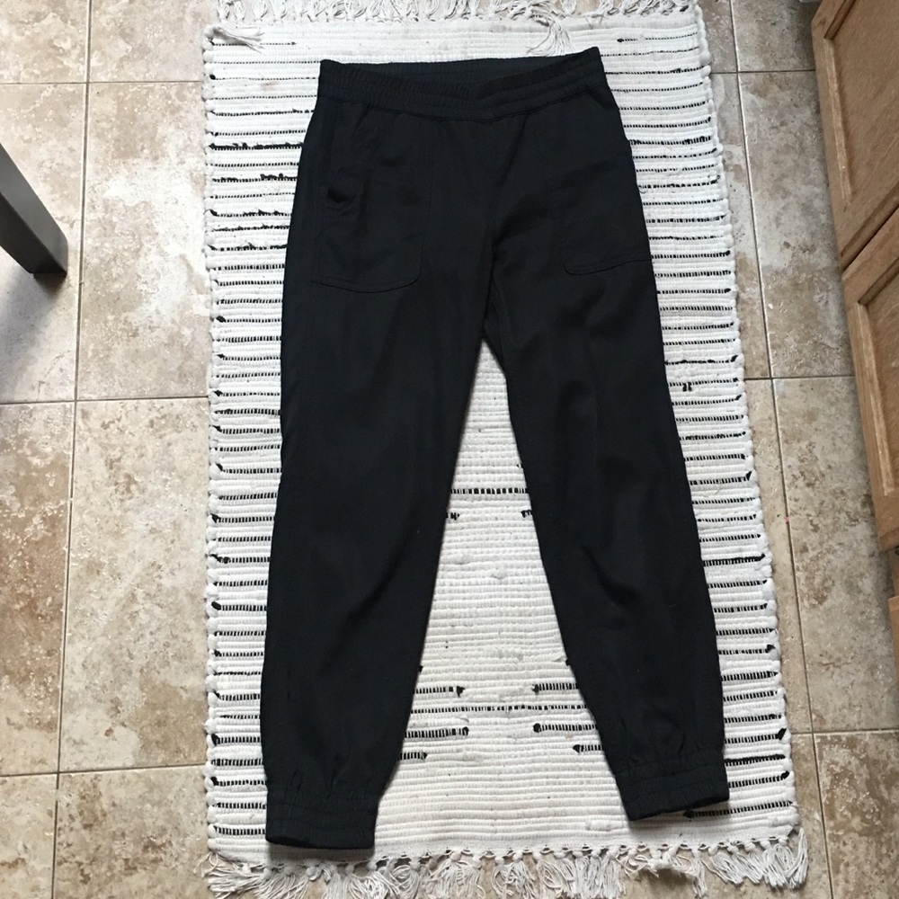 Aritzia jogger pants